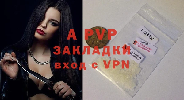 ПСИЛОЦИБИНОВЫЕ ГРИБЫ Иннополис
