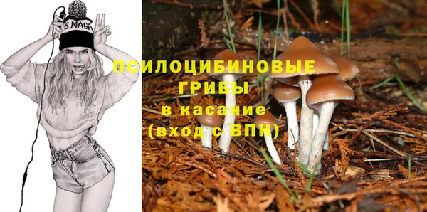 ПСИЛОЦИБИНОВЫЕ ГРИБЫ Иннополис