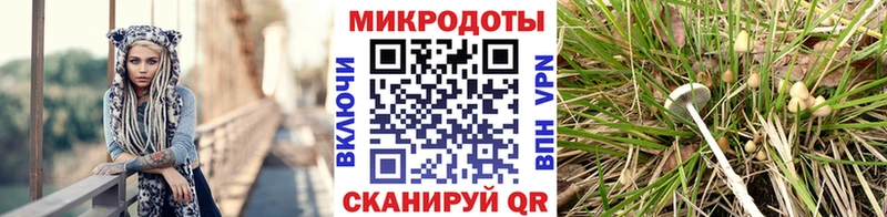 Псилоцибиновые грибы мухоморы  Купить  Куровское 